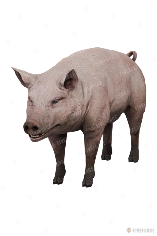 Pig GTA 5 ped