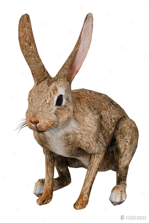 a_c_rabbit_02 (a_c_rabbit_02) GTA 5 ped