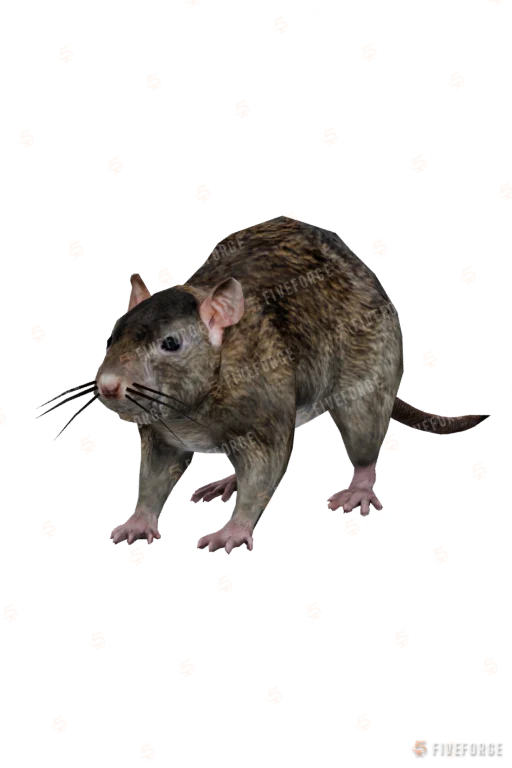a_c_rat GTA 5 ped