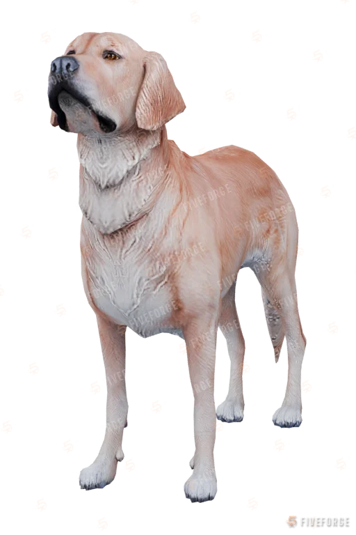 Retriever (a_c_retriever) GTA 5 ped