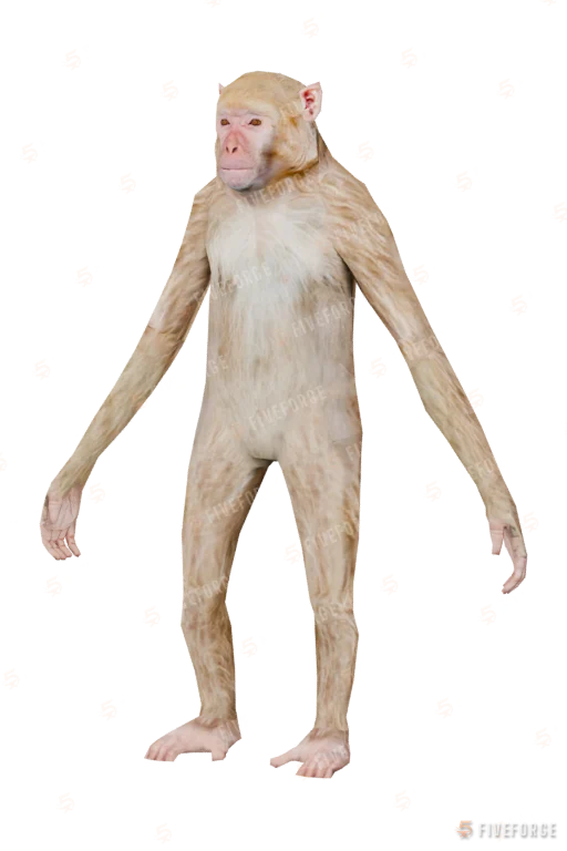 a_c_rhesus (a_c_rhesus) GTA 5 ped