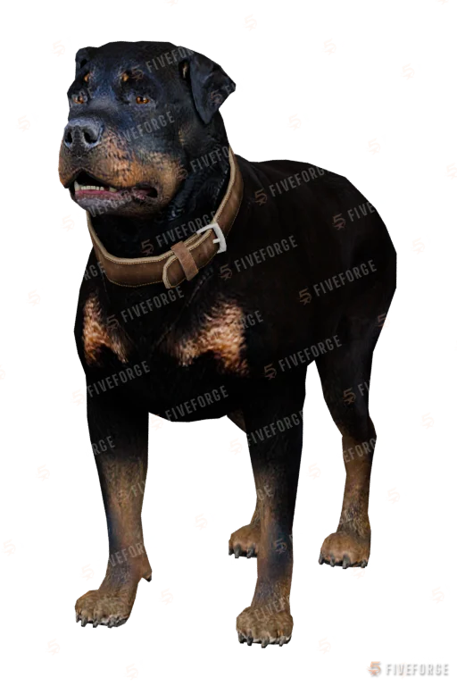 Rottweiler GTA 5 ped