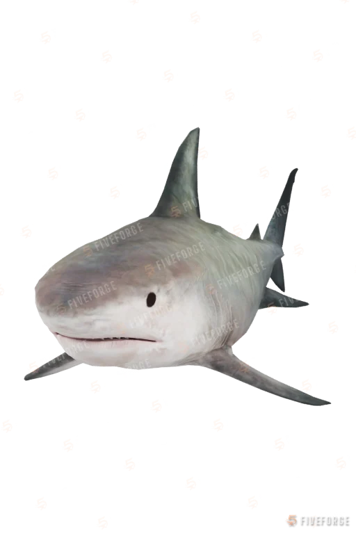 a_c_sharktiger GTA 5 ped