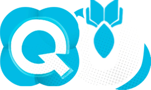 FiveMCoach logo